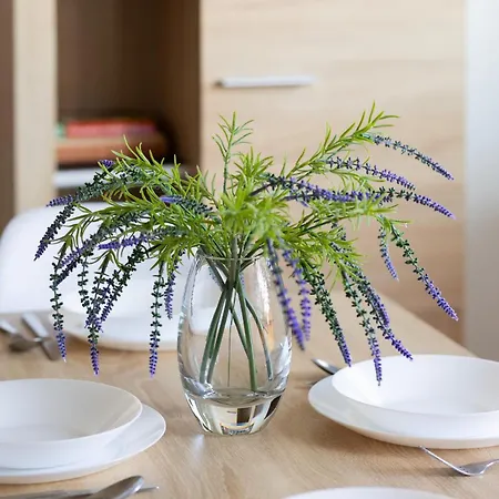 Cosy With Smart Tv By Renters *